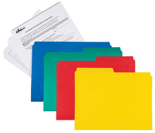 Load image into Gallery viewer, Letter Size file folders