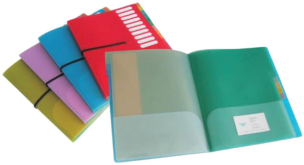 Frosted Poly Project Folder, 10 Pocket, Assorted Colors